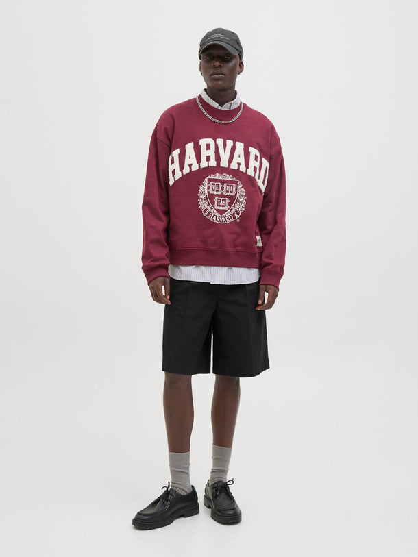 Product SHORT CHINO PORTER - Black - Image 6