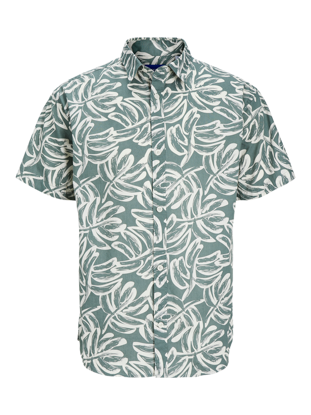 Product CAMISA LAFAYETTE - Laurel Wreath - Image 1