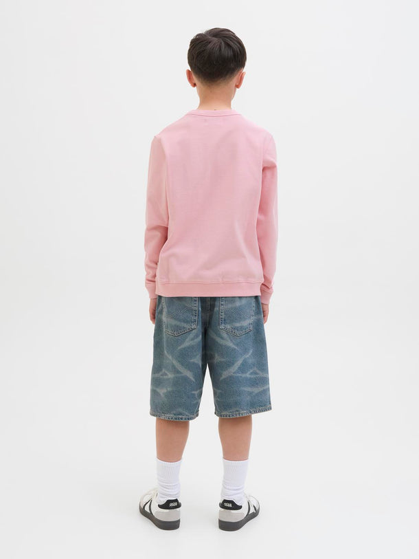 Product BUZO RELAXED ESTAMPADO VITA JNR - Tickled Pink - Image 4