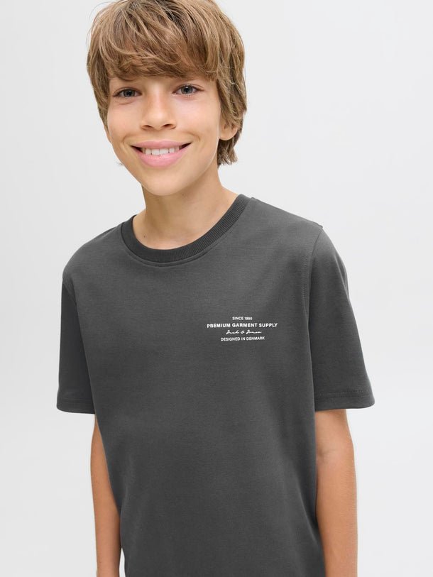 Product CAMISETA CHAD-Volcanic Ash - Image 3