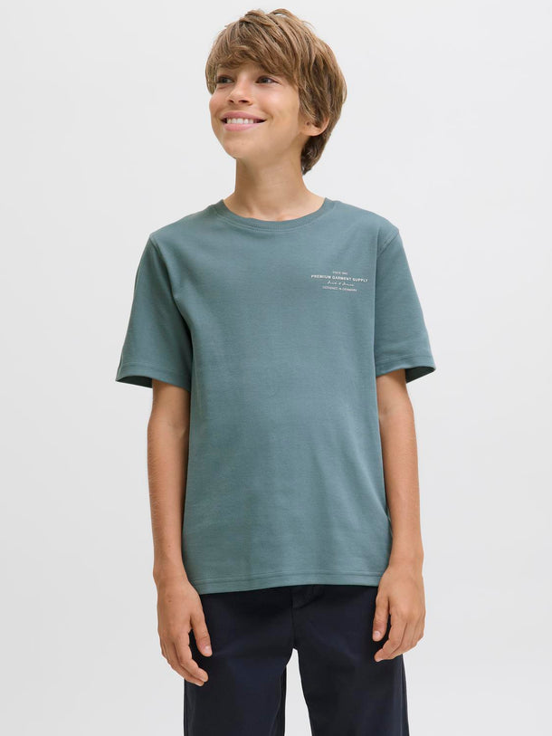 Product CAMISETA CHAD-Goblin Blue - Image 1