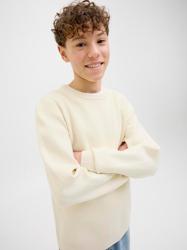 Product SWEATER VESTERBRO JNR - Sea Salt - Image 3