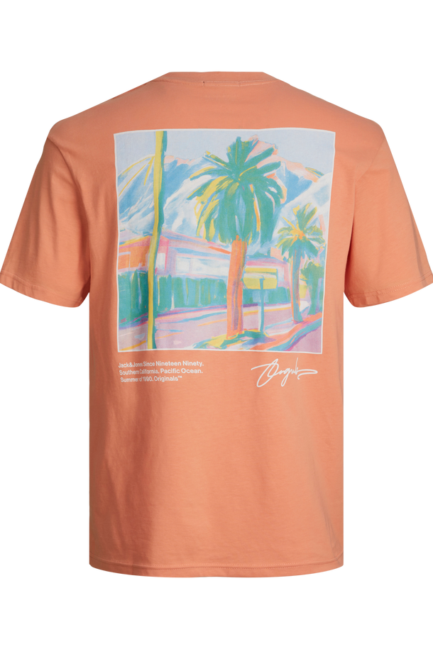 Product CAMISETA ARUBA - Canyon Sunset - Image 6