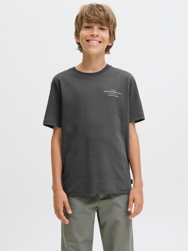 Product CAMISETA CHAD-Volcanic Ash - Image 1