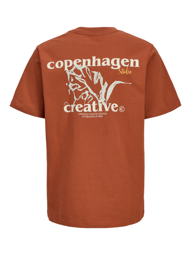 Product CAMISETA PAROS JNR-Arabian Spice - Image 6