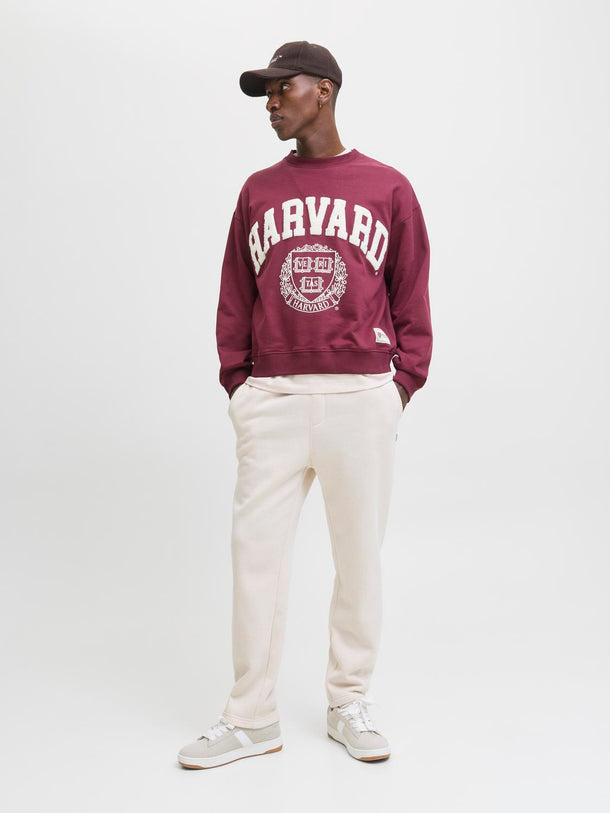 Product PANTALON DE BUZO KANE BRADLEY- - Image 2
