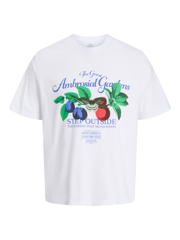 Product CAMISETA RELAXED ESTAMPADA FAUNA-Bright White - Image 1