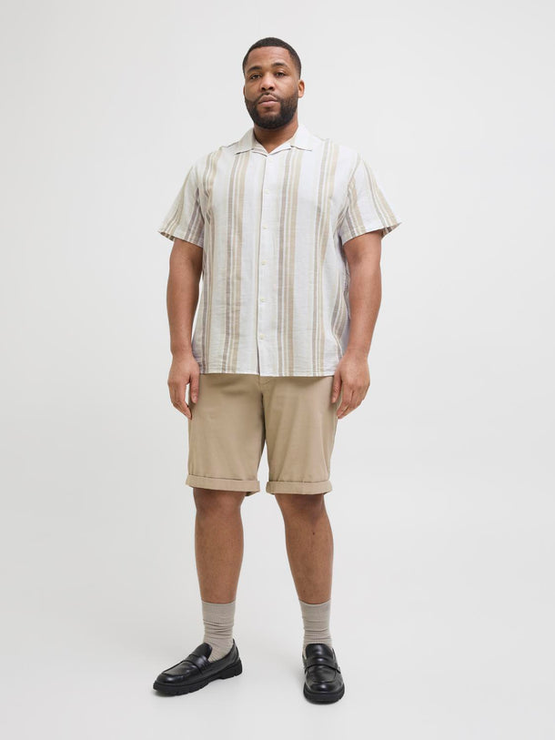 Product CAMISA SUMMER LINO PLUS - Travertine - Image 4