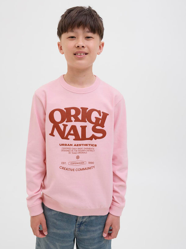 Product BUZO RELAXED ESTAMPADO VITA JNR - Tickled Pink - Image 3