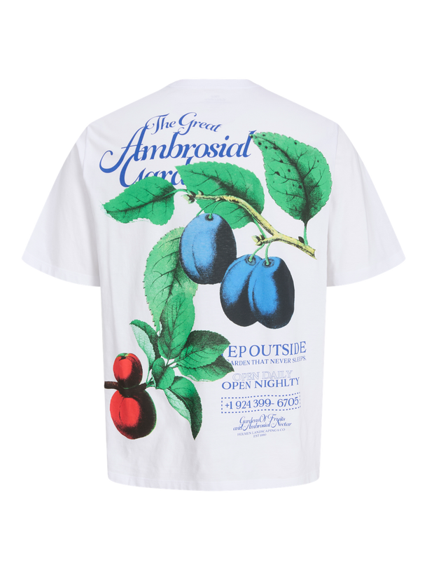 Product CAMISETA RELAXED ESTAMPADA FAUNA-Bright White - Image 2