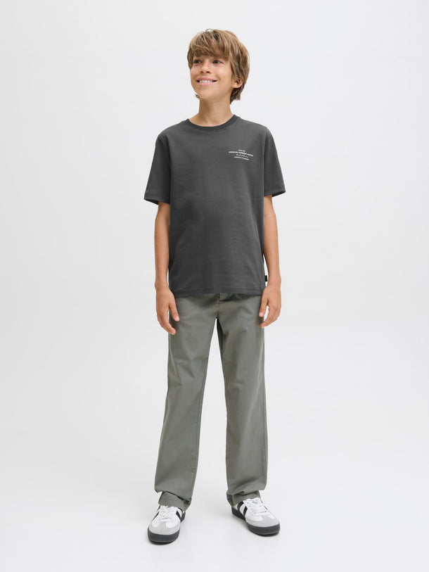 Product CAMISETA CHAD-Volcanic Ash - Image 2