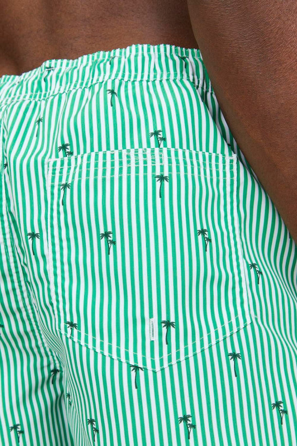 Product TRAJE DE BAÑO FIJI - Green Bee - Image 6