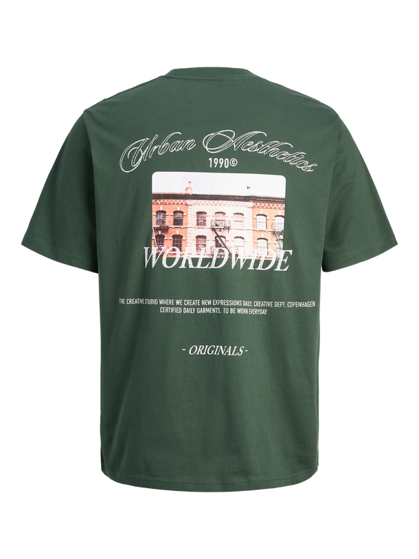 Product CAMISETA RELAXED ESTAMPADA LEECKER-Sycamore - Image 6