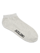 3773748