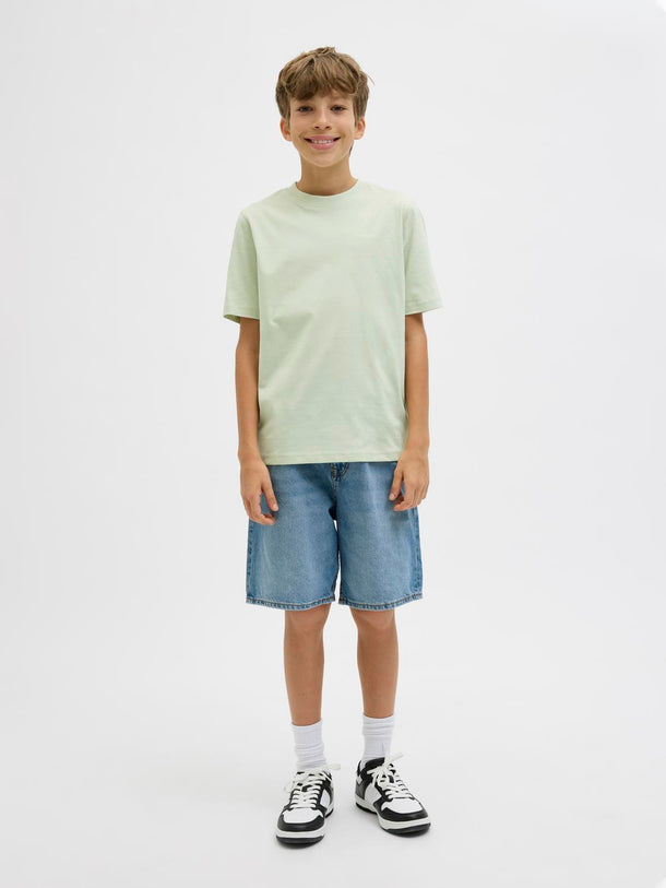Product CAMISETA REGULAR ESTAMPADA VARENNA JNR - Celadon Tint - Image 1