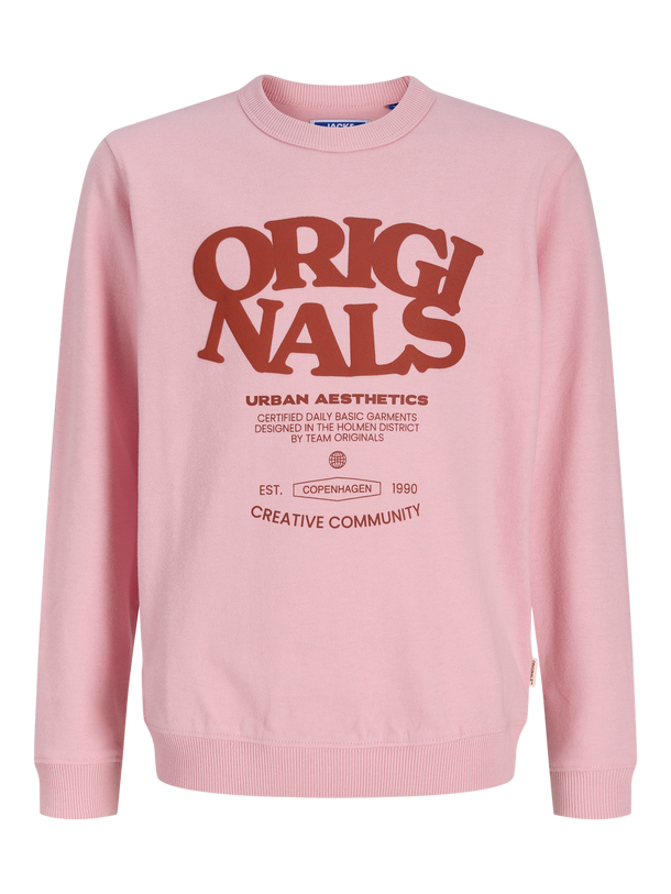 Product BUZO RELAXED ESTAMPADO VITA JNR - Tickled Pink - Image 5