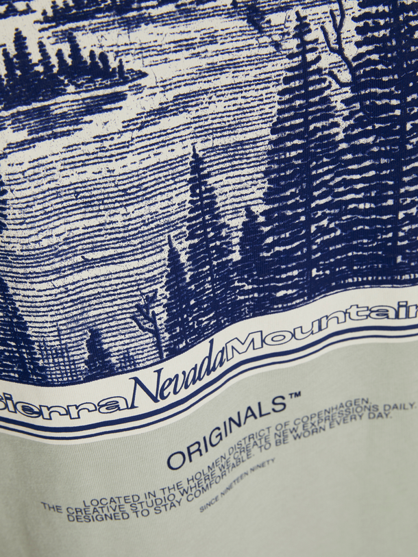 Product CAMISETA RIDGEWOOD - Mineral Gray - Image 8