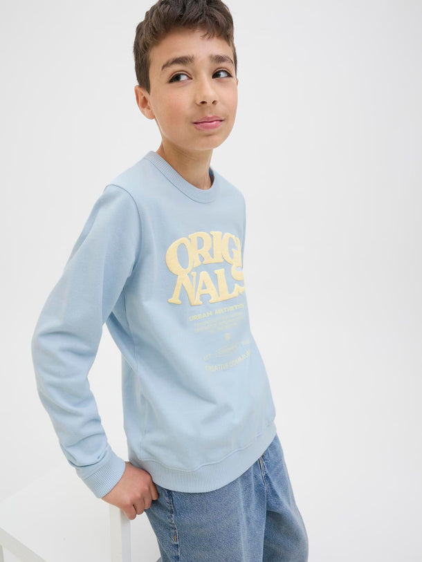 Product BUZO RELAXED ESTAMPADO VITA JNR - Skyway - Image 3